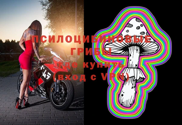 стафф Абинск