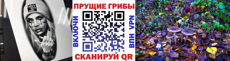 хочу наркоту  Суоярви  Галлюциногенные грибы прущие грибы 